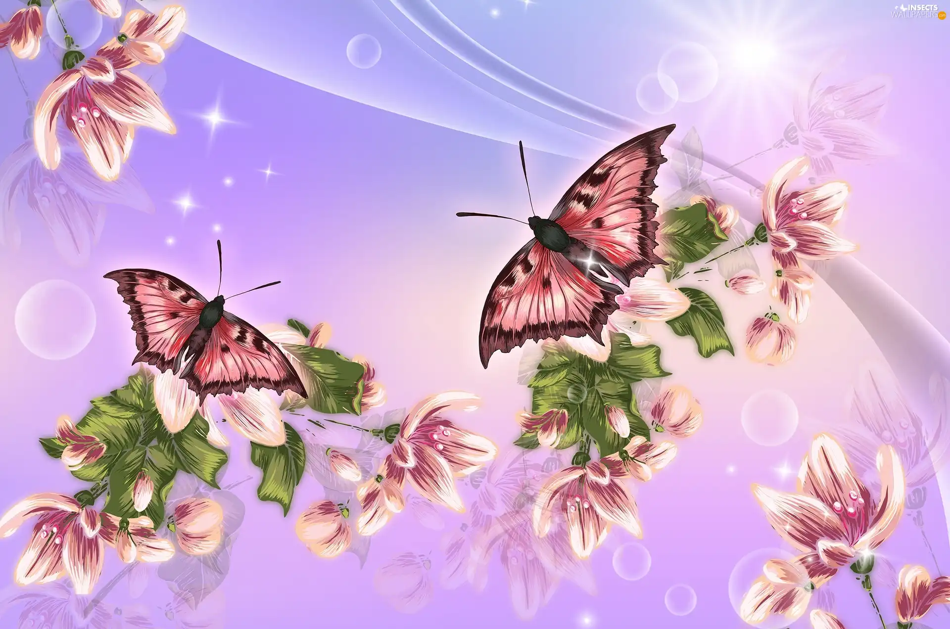 butterflies, sun, 2D Graphics, Flowers - Insects wallpapers: 2560x1696